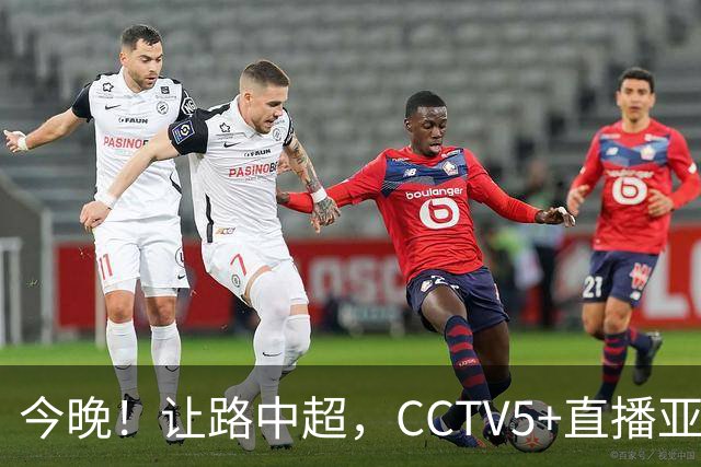 今晚！让路中超，CCTV5+直播亚运会中国男篮PK日本，郭士强迎利好，剑指冠军